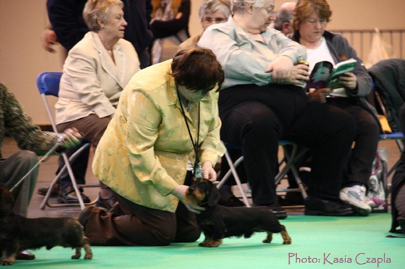 Crufts2011_2 461.jpg